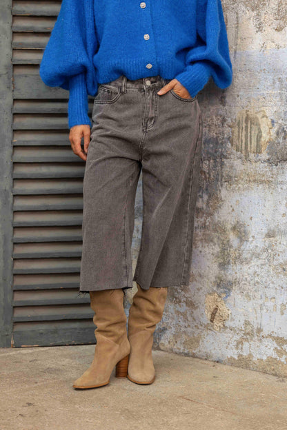 Gold & Silver denim jort grijs